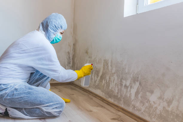 Licensed Crawl Space Mold Removal service in Milton, WA - WQB Mold Removal