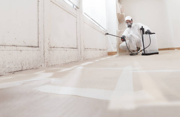 24/7 Emergency Crawl Space Mold Removal experts in Milton, WA