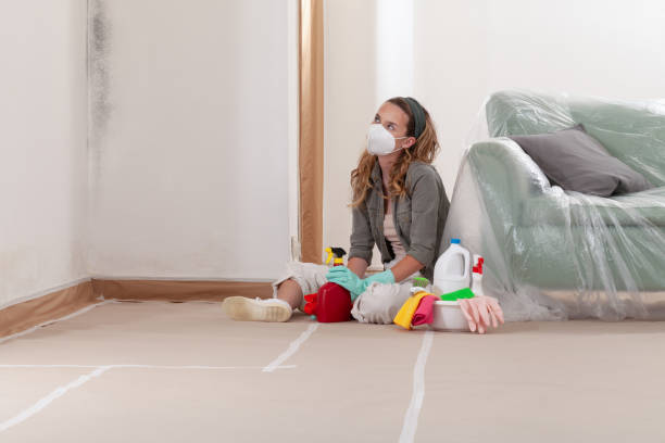 Reliable Crawl Space Mold Removal contractor in Milton, WA by WQB Mold Removal